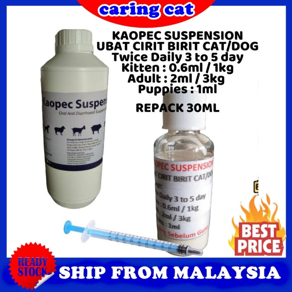 Ubat Cirit Birit Kucing Anjing dll Kaopec Suspension Anti 