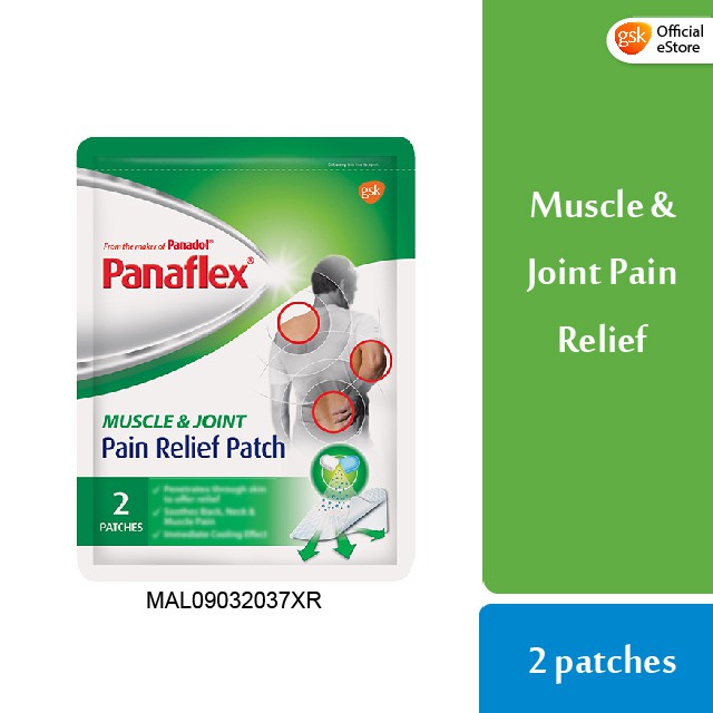 Panaflex Pain Relief Patch (2's)