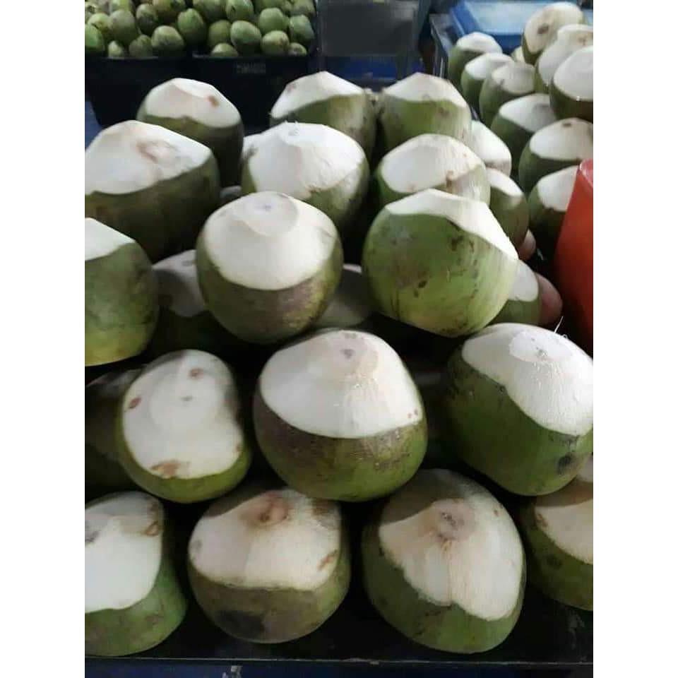 Muda pembekal kelapa PEMBEKAL KELAPA