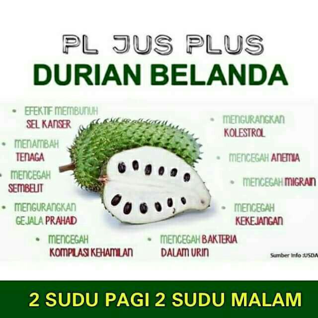 khasiat jus durian belanda