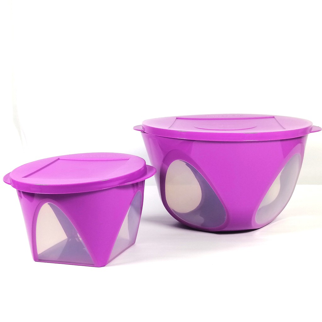 Tupperware Outdoor  Dining Bowl Set