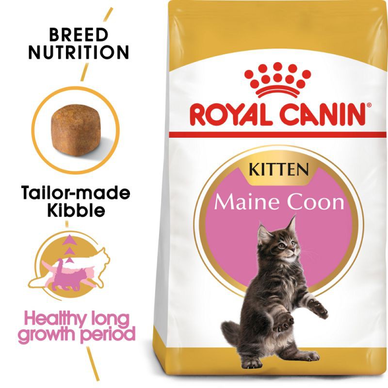 Royal Canin Maine Coon Kitten (4kg)  Shopee Malaysia