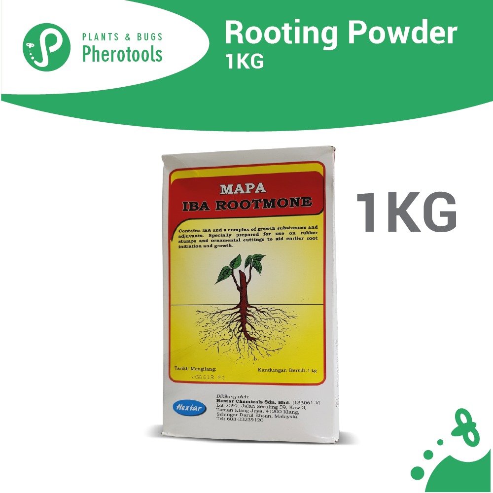 Pherotools 1KG Rooting Powder (IBA Rooting Hormone For Rooting Plants