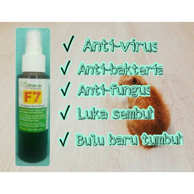 Ubat Spray F7 Untuk Kucing Kurap Kudis Fungus Kerapu Sporo PS 