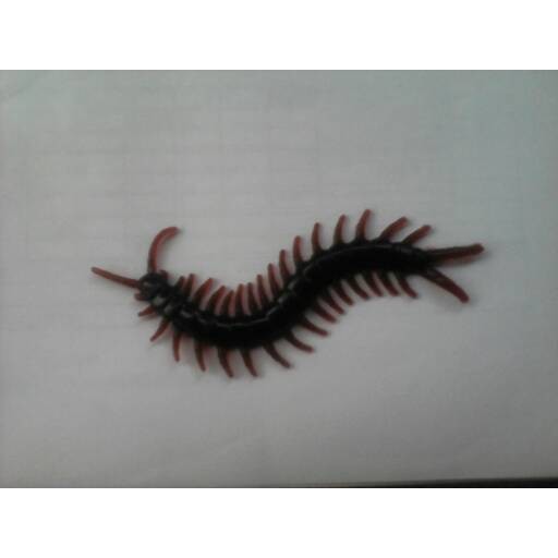 Centipede Toy / Thousand Legs Similar to Real - 5Eab93 - Original Authentic