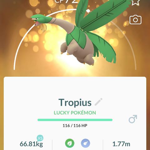 Tropius Pokemon Go Regional Trade High Cp Save Stardust Candy Shopee Malaysia