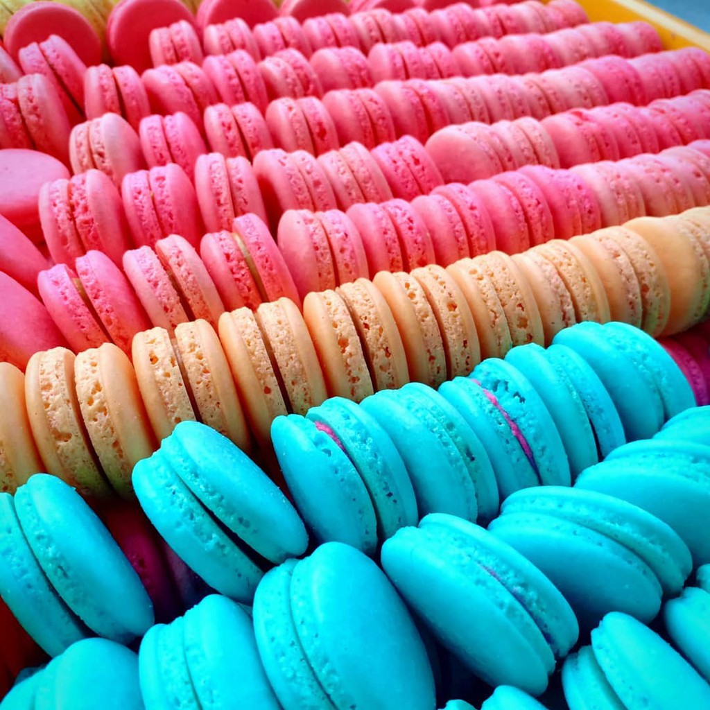 Ready Stock Baby Macaron 80pcs Bottle Shopee Malaysia