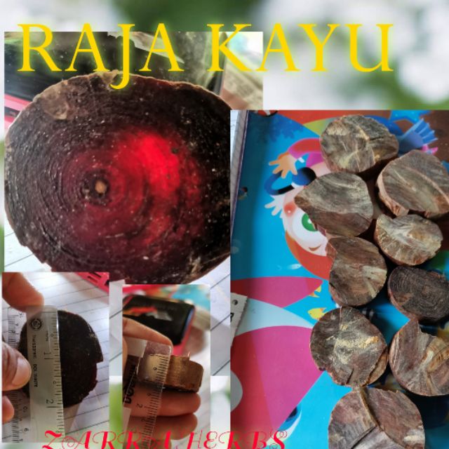 Teras Penawar Hitam Raja Kayu Kemuning Hitam Teras Kayu Yg Rare Penawar Pelbagai Penyakit Byk Khasiatnya Mistik Dll