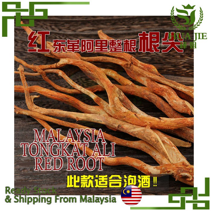 Buy Red Tongkat Ali Root 东哥阿里 红根 Malaysia 马来西亚 Akar Seetracker Malaysia