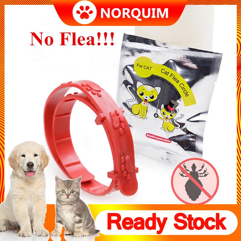 Pet Cat Collar Anti Mosquito Protection Cat Anti Flea Ti 