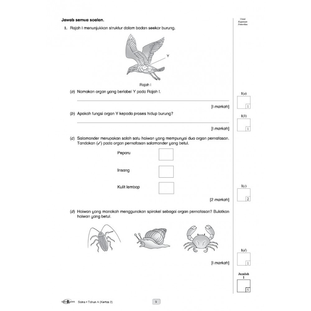 Soalan Sains Tahun 4 Proses Hidup Haiwan  Tersoal p  sains tahun 2