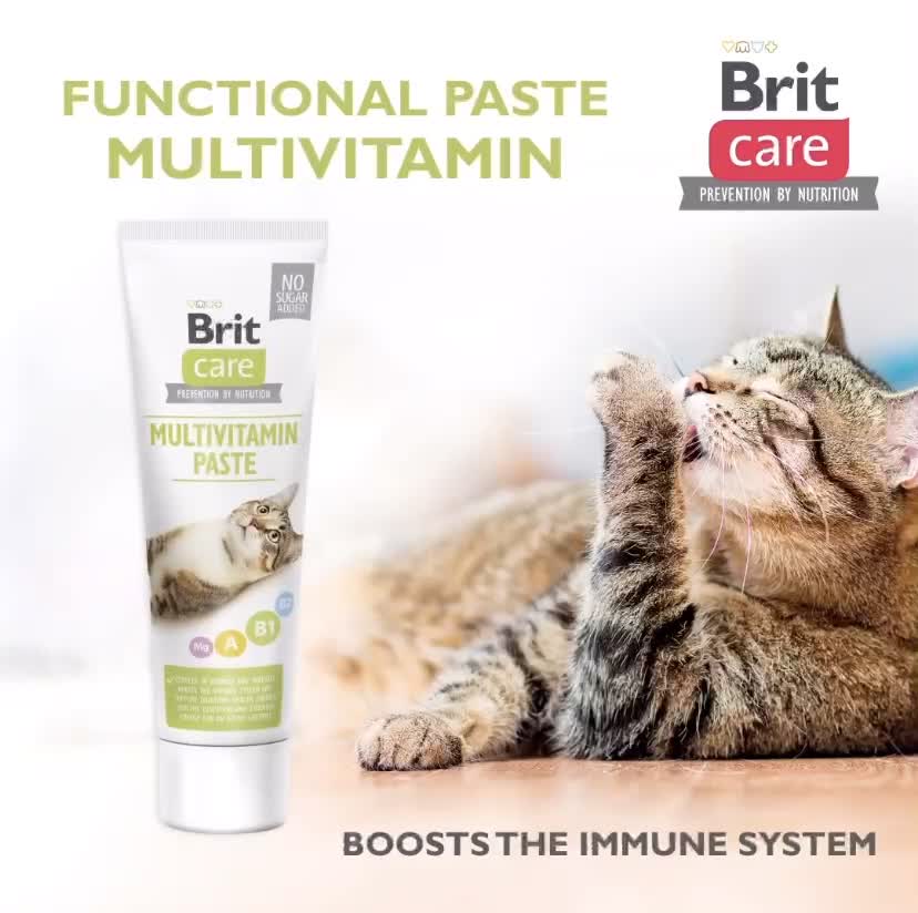 [EXP 10/22] Brit Care Cat Functional Paste Cat Supplements 100G