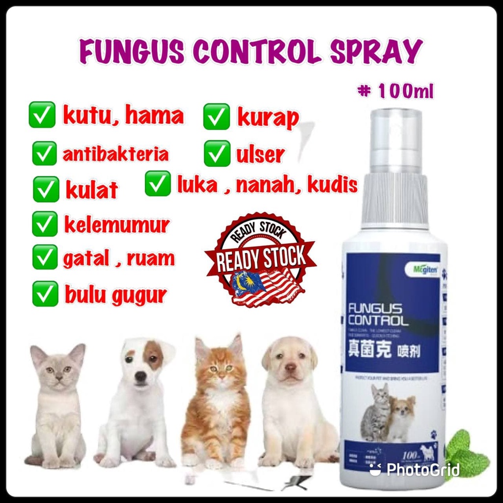 Spray Kurap Luka Kudis Gatal Ruam Kutu Hama Bulu Gugur Kulat Bernanah Ulser Sporo Nano Spray