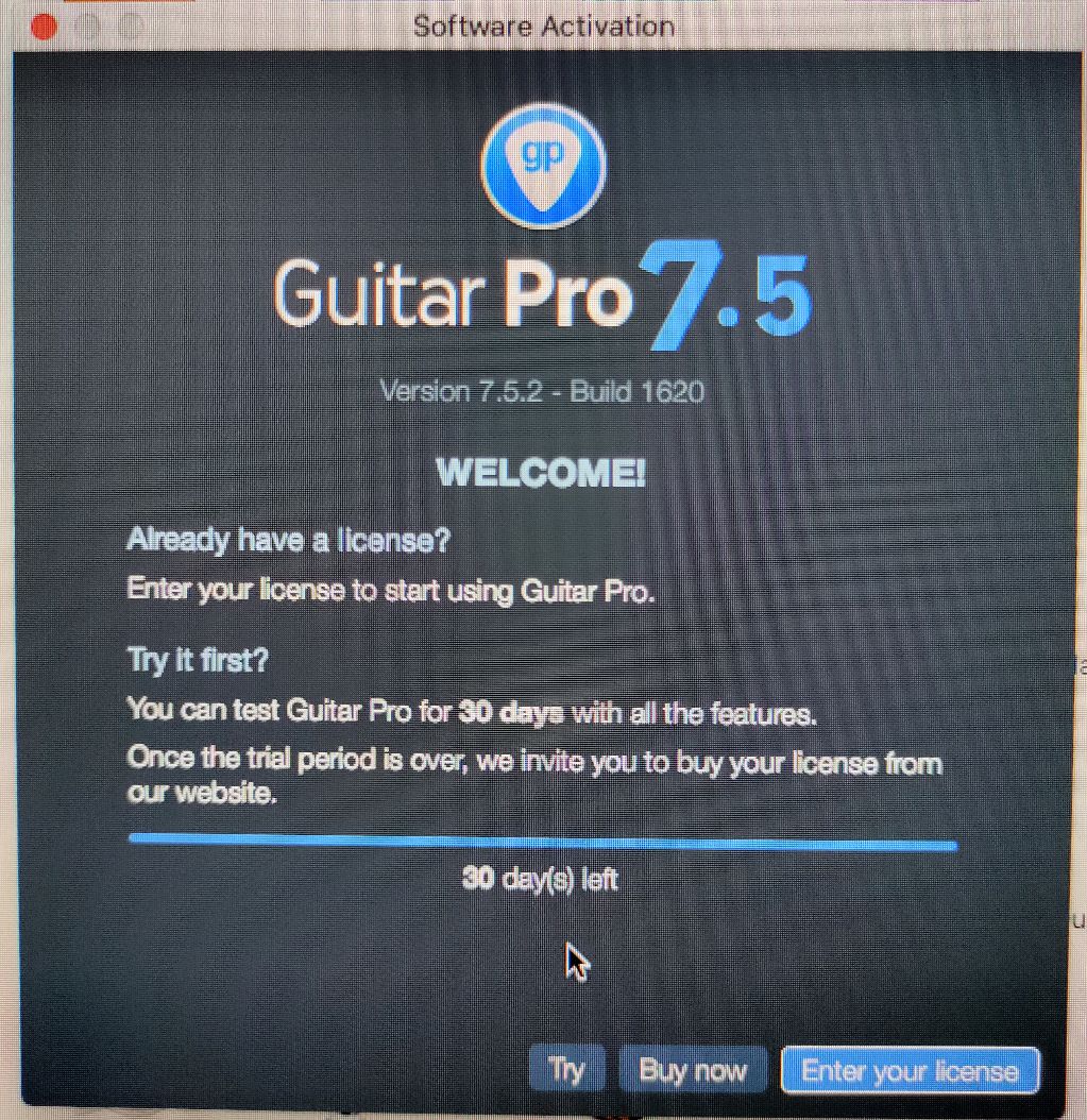 Guitar