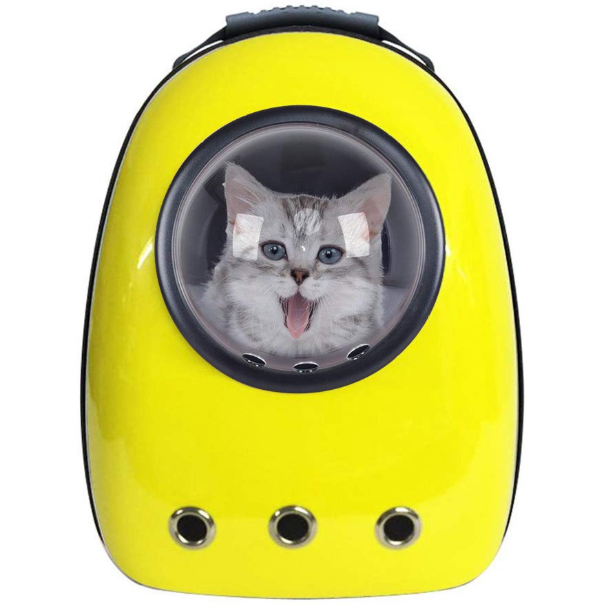 backpack cat carrier bubble