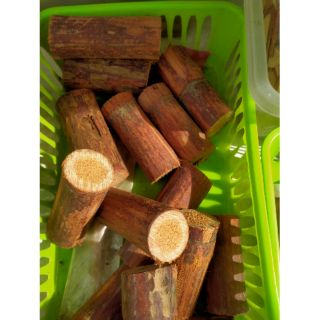 Kayu Hutan Larak Salah