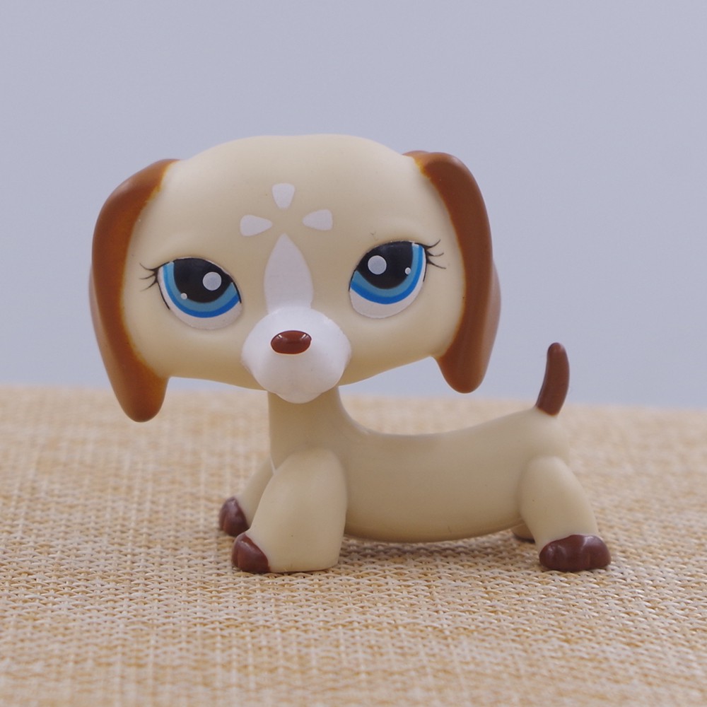 lps rare dogs