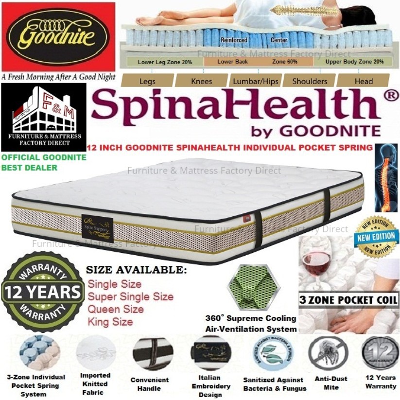 (New Arrival) Goodnite SpinaHealth Spine Support 12 Inch 3 ...