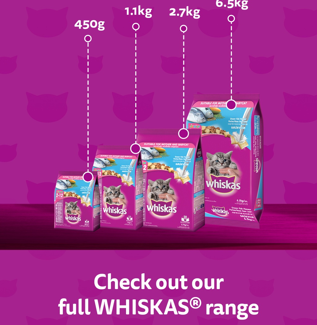 WHISKAS Junior Mackerel Flavor with Milk Kitten Food, 1.1 kg. Dry Cat