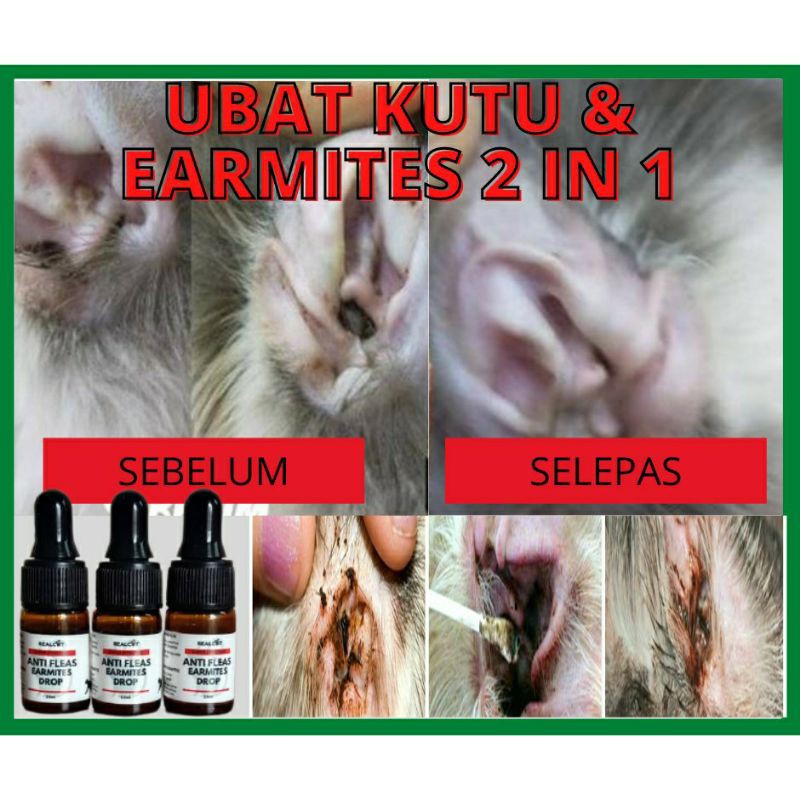 ⭐Ear mites Anti Fleas Ubat kutu badan kucing telur kutu kucing ⭐