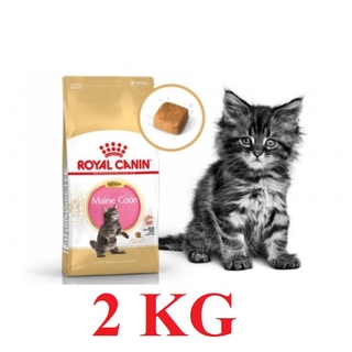 royal canin maine coon kitten dry food