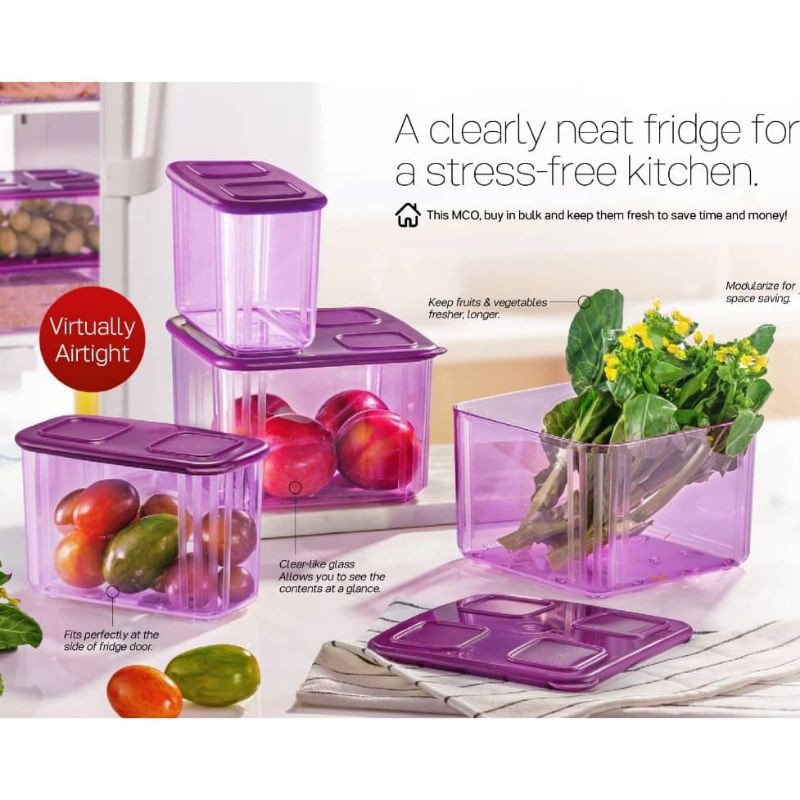 Tupperware Brands Modular Mate Mini Rectangular (6pcs) 1.9L Full Set