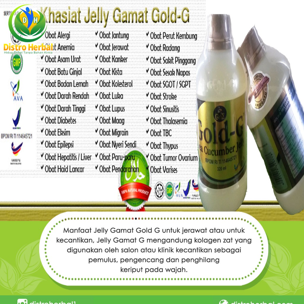 Jelly Gamat Gold G 320 Ml Jogja Khasiat Jelly Gamat Gold G Malaysia