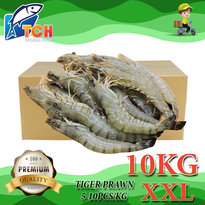 UDANG HARIMAU XXL, TIGER PRAWN XXL, TCH FROZEN FOOD, FRESH FROZEN ...