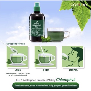 Shyuanhouse Liquid Chlorophyll Plus 500ml Exp 6 2024 Shopee Malaysia