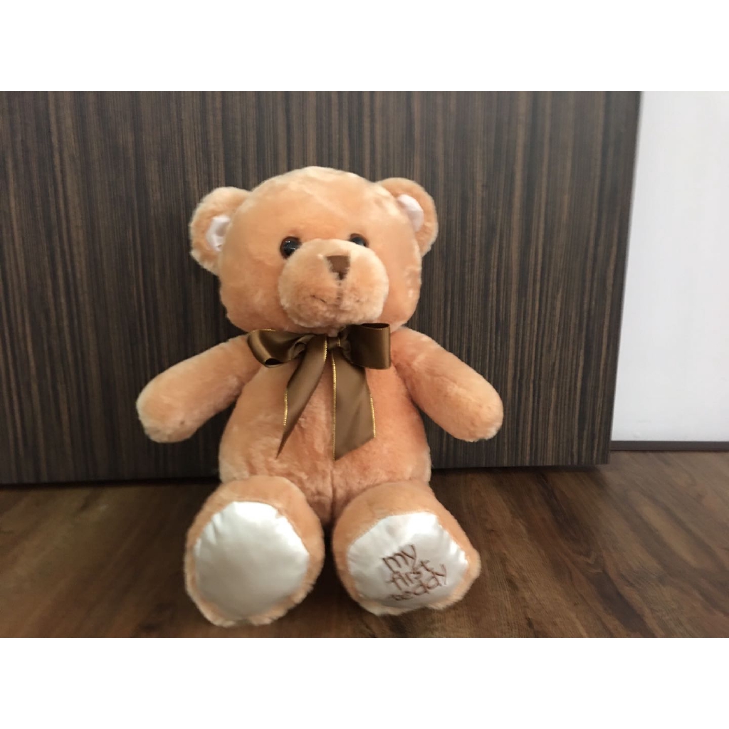 my first teddy bear brown