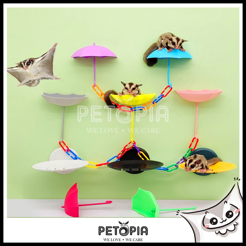 Sugar Glider Exercise Gliding Platform [Umbrella Design] PETOPIA Sugar Glider Exercise Toy
