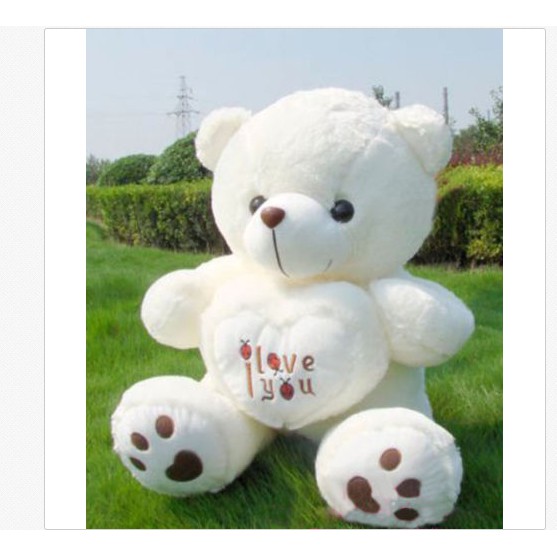 big teddy bear white