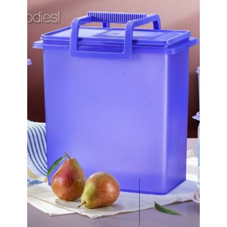 TUPPERWARE BUDDY KEEPER 10L with Handle (1)