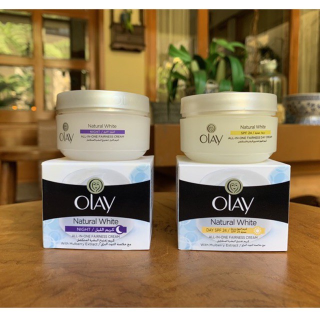 natural day and night cream