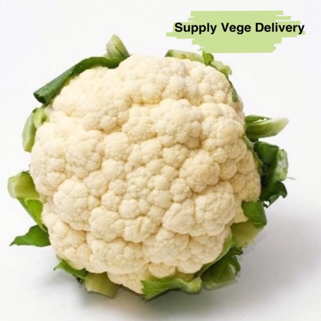 Fresh Vegetable Cauliflower Bunga Kobis China è±æ¤°è Shopee Malaysia