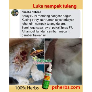 Ubat Kucing Sporo Spray F7 Krim S3 Serbuk FP1 Ps Herbs Sporotrichosis