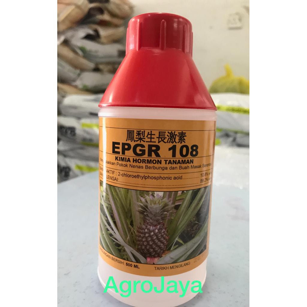 Buy Big Sales 500ml 100 Original Super Pgr 10000 Hormon Nanas Penggalak Pertumbuhan Bunga Buah Susu Getah Seed Seetracker Malaysia