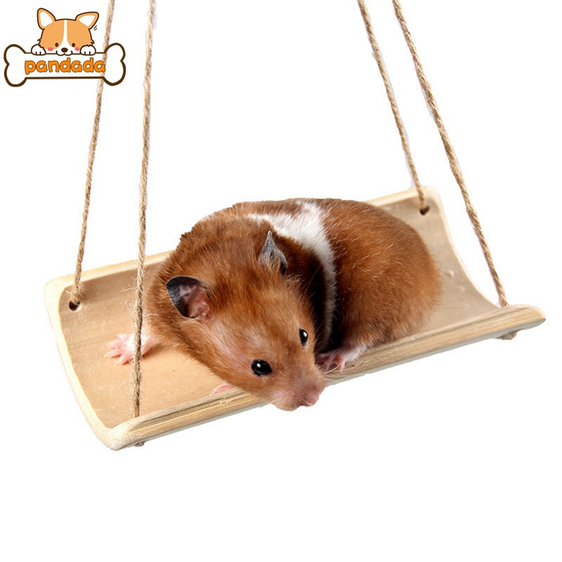 cheap hamster toys