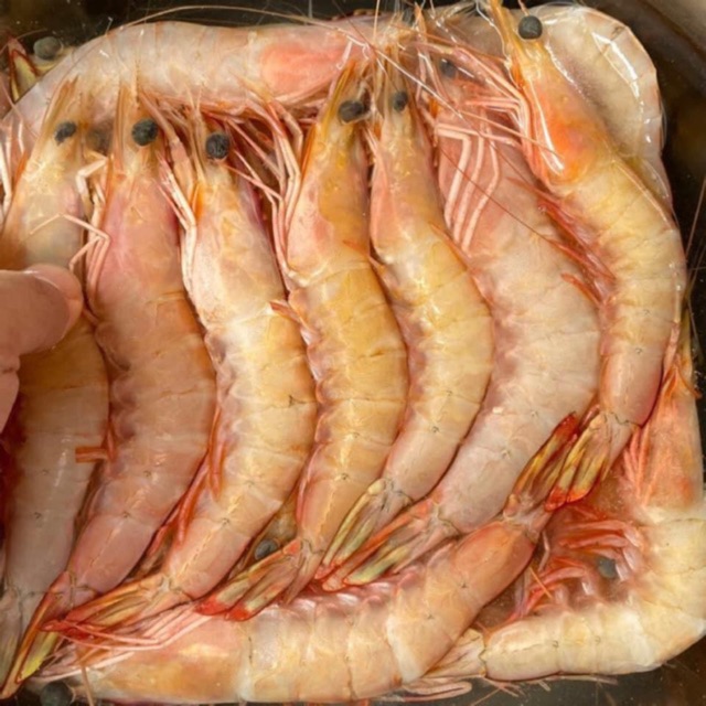  Fresh Frozen Seafood Fresh Local Udang Laut  Sea Prawn 1kg 