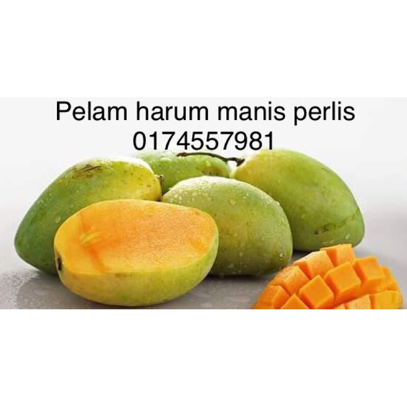 Pelam Harum Manis Perlis 2kg 3kg