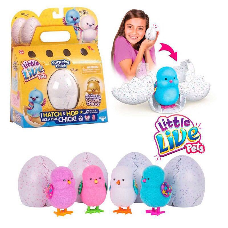 hatching chick toy