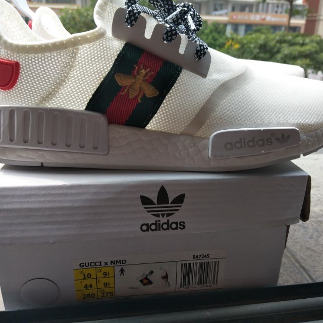 adidas and gucci shoes