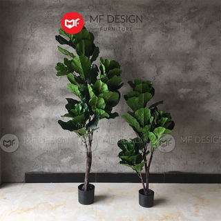 (READY STOCK) MF DESIGN Pokok Hiasan Fiddle Fig Leaf Airtificial Tree