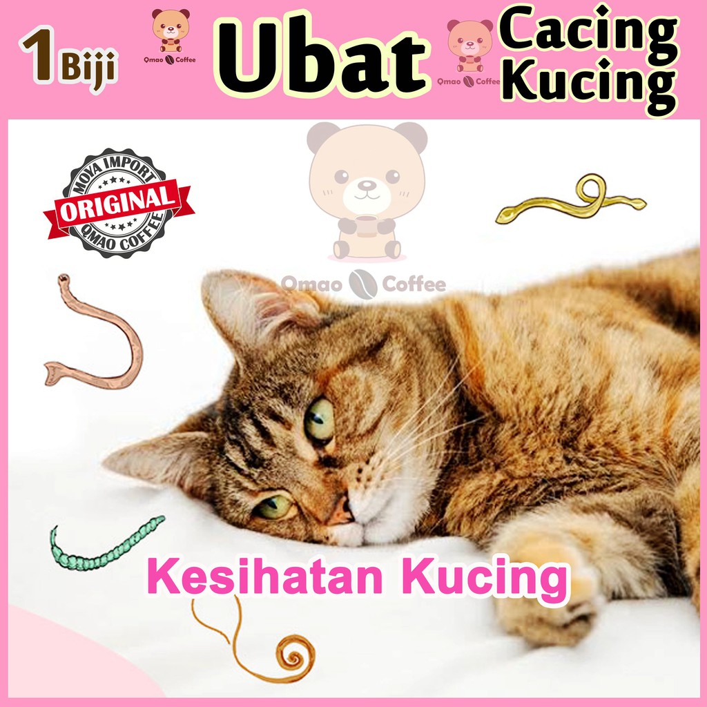 Ubat Cacing Kucing Anjing Terbaik 1 Biji Obat Pusak Kuching Deworm Cacing Bulat Shopee Malaysia