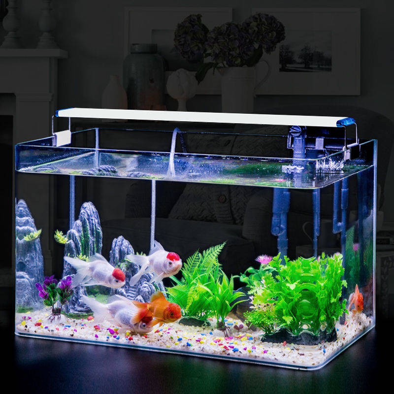 Ikan Tank Living Room Kecil Ikan Tangki Tangki Telus Hot Bend Goldfish ...