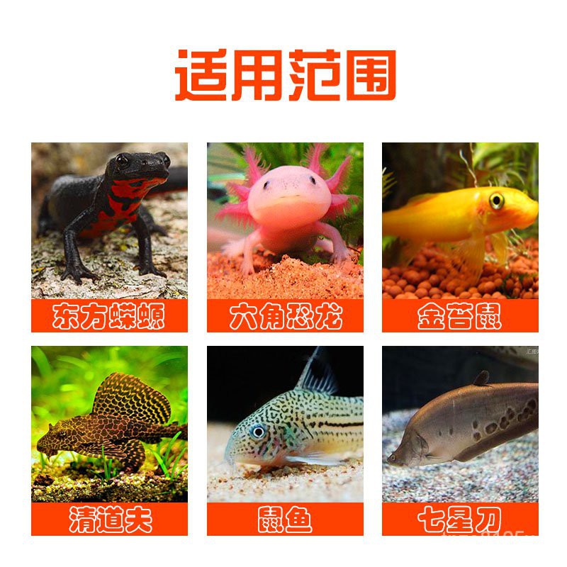 Fish Food 蝾螈六角恐龙鱼饲料六角龙鱼专用饲料娃娃鱼食东方蝾螈鱼粮西方龙mvxl Shopee Malaysia