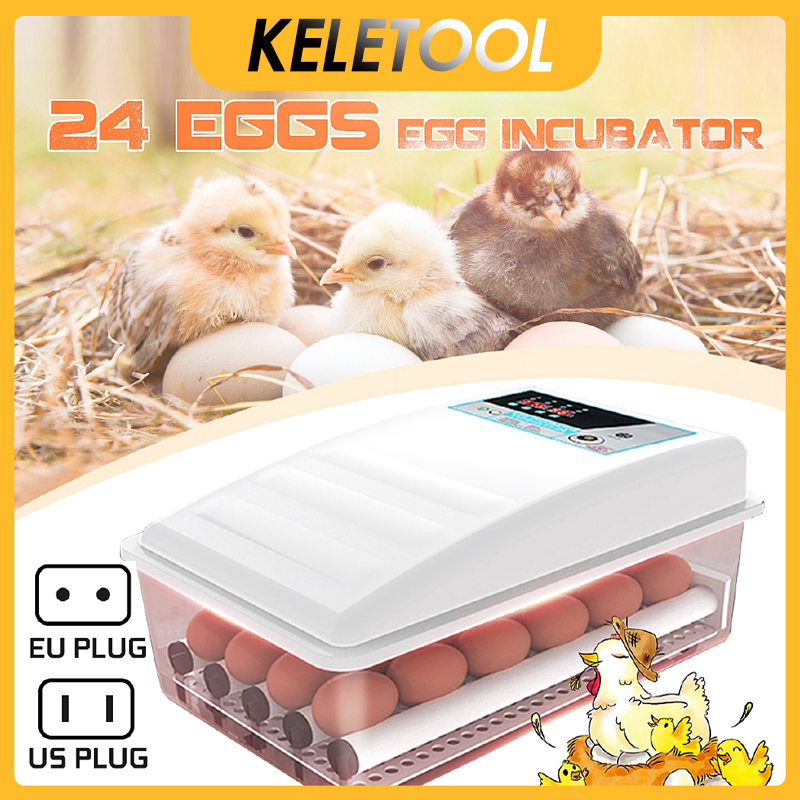 24 Eggs Automatic Incubator Thermostatic Chicken Hatching Machine Egg hatch egg hatcher incubator penetas telur ayam automatic malaysia goose penetasan telur ayam