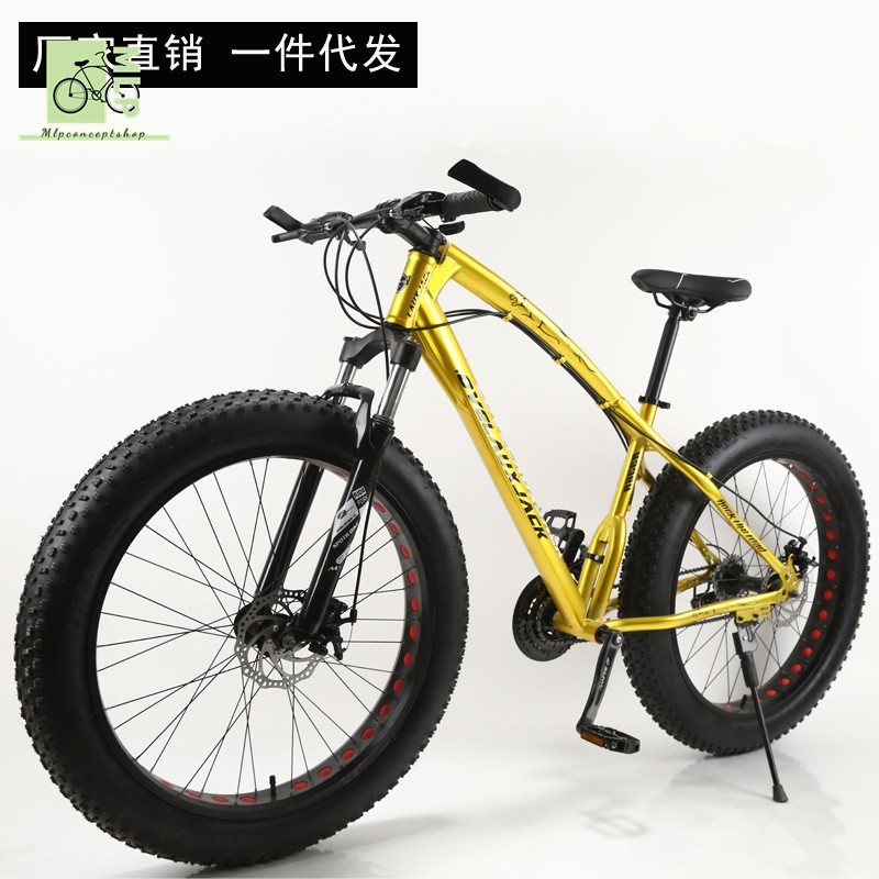 big tire bicycle