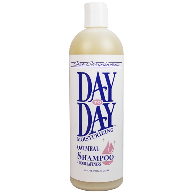 day shampoo