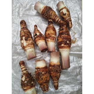 Ubi Keladi Minyak Tempatan In Stock Shopee Malaysia Ubi Keladi Minyak Tempatan In Stock Shopee Malaysia